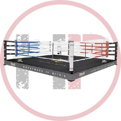 Ринг Everlast на помосте (высота 0.5 м)
