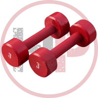 Гантель «ProfiGym» неразборная с полимерным покрытием