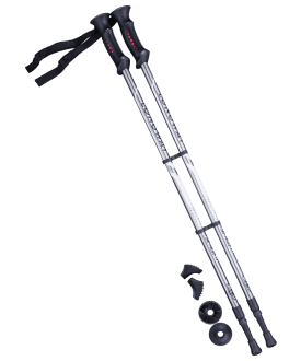 skandinavskaya-khodba